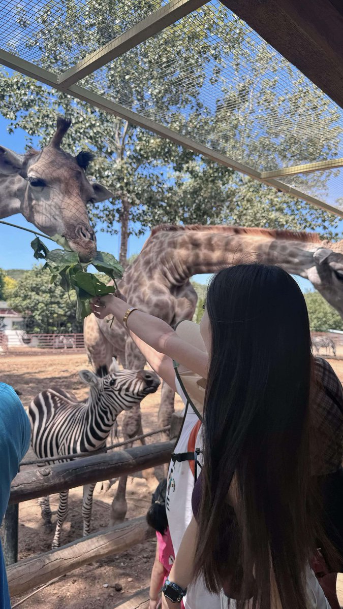 a65698675's tweet photo. 喂 你走路不看鹿的？🦒 #宁波 https://t.co/gQ2dgozMsJ