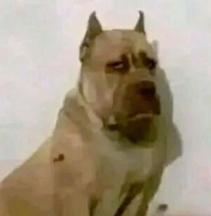 aalbaaq's tweet photo. @ssendiino no ay ni un solo dia en ke la gente no me ronpa las pelotas https://t.co/yQyF9jUMyj