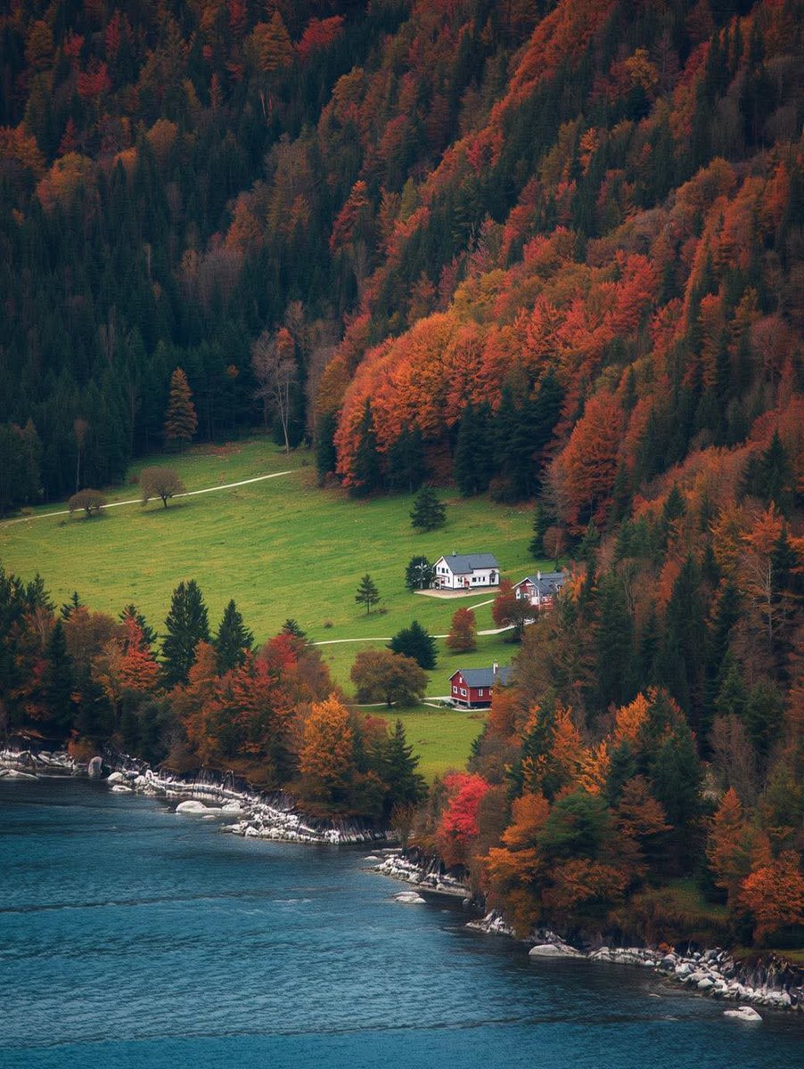 DNatives67667's tweet photo. This is Norway 🇳🇴 https://t.co/Y0CamDXTGj