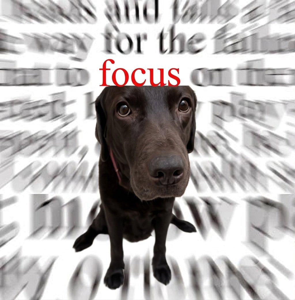 founderdev_'s tweet photo. 🚨focus robinhood
$Pons Dog 🙏 Alpha $NESSIE https://t.co/LQoSkWJ45p