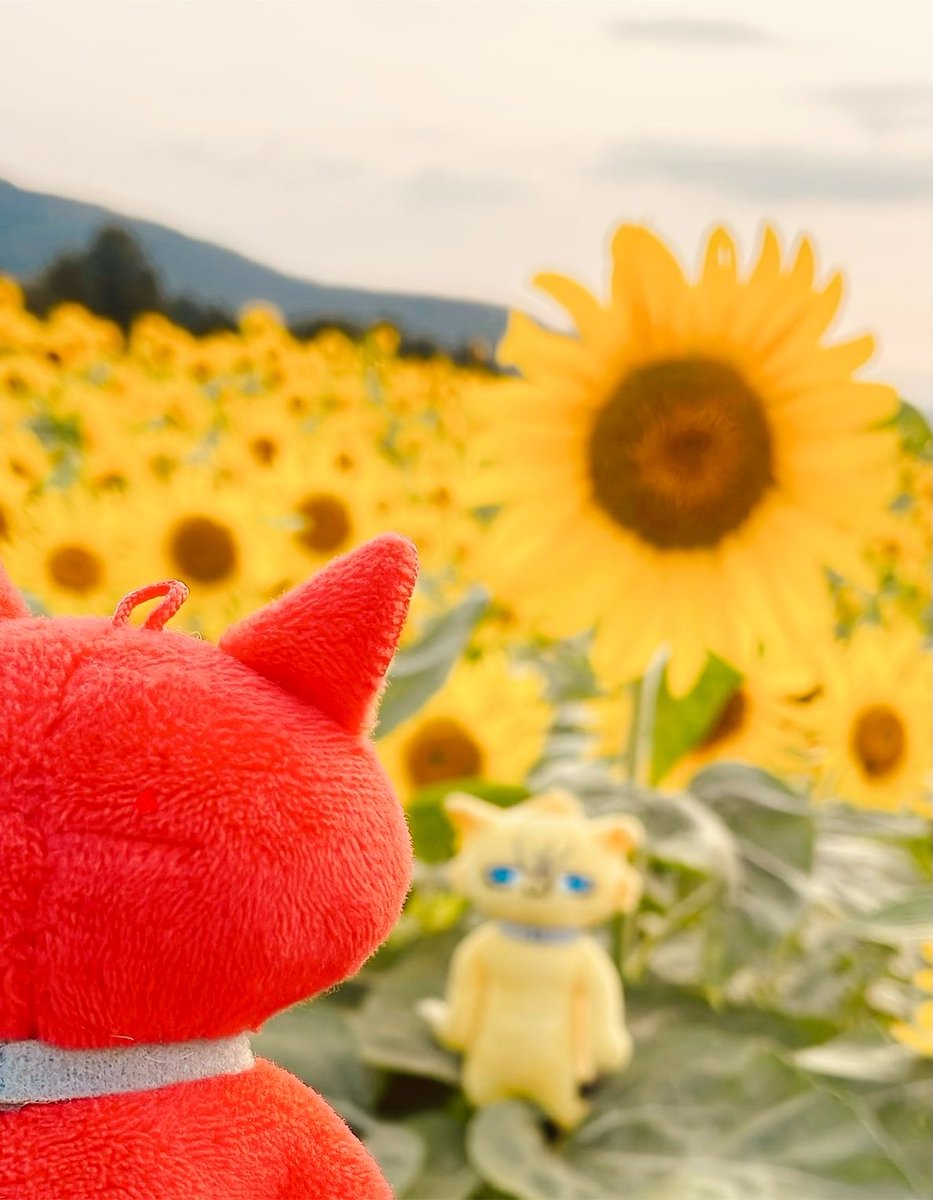 violight450's tweet photo. かなーらずお迎えに行ったよね❤️💛

「おいでになるのが早すぎますよ」って

#7月26日
#再会の日 https://t.co/wmRkDUiTYj