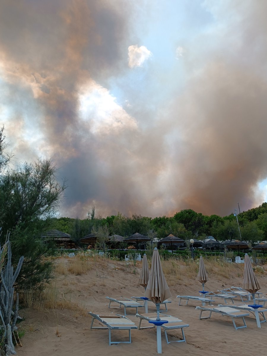 PaoloIraldi's tweet photo. Smoke on the water
#26luglio2026 #Peschici #Calalunga #incendio https://t.co/ZvpIAQ51Wi