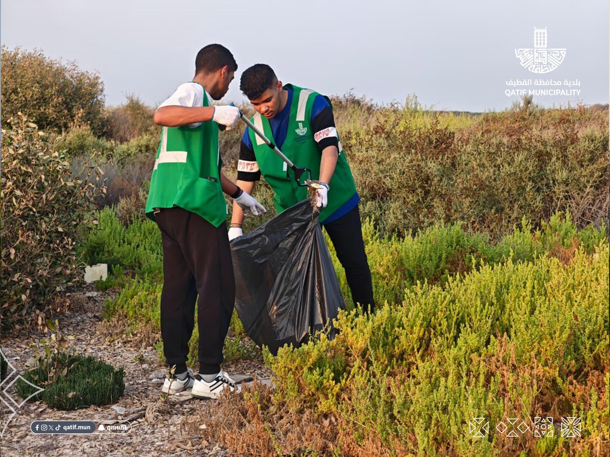 qatif_mun's tweet photo. فعّلت #بلدية_القطيف، بالشراكة مع عدد من الجهات، مبادرة جذور خضراء بمناسبة #اليوم_الدولي_لصون_النظام_الإيكولوجي_لغابات_المانجروف، بمشاركة 50 متطوعًا ومتطوعة؛ لتعزيز الوعي البيئي ودعم استدامة البيئة الساحلية.

#أمانة_المنطقة_الشرقية https://t.co/Gh01g7CO4h