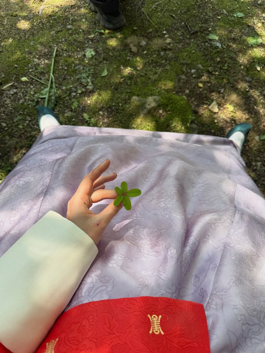 yoxonseo's tweet photo. Every time I find a normal three- or 5-leaf clover my heart skips a little, but I keep looking… because they say when you discover a true five-finned one, it’s a special sign

⠀⠀ https://t.co/wPBv2VoQ5X