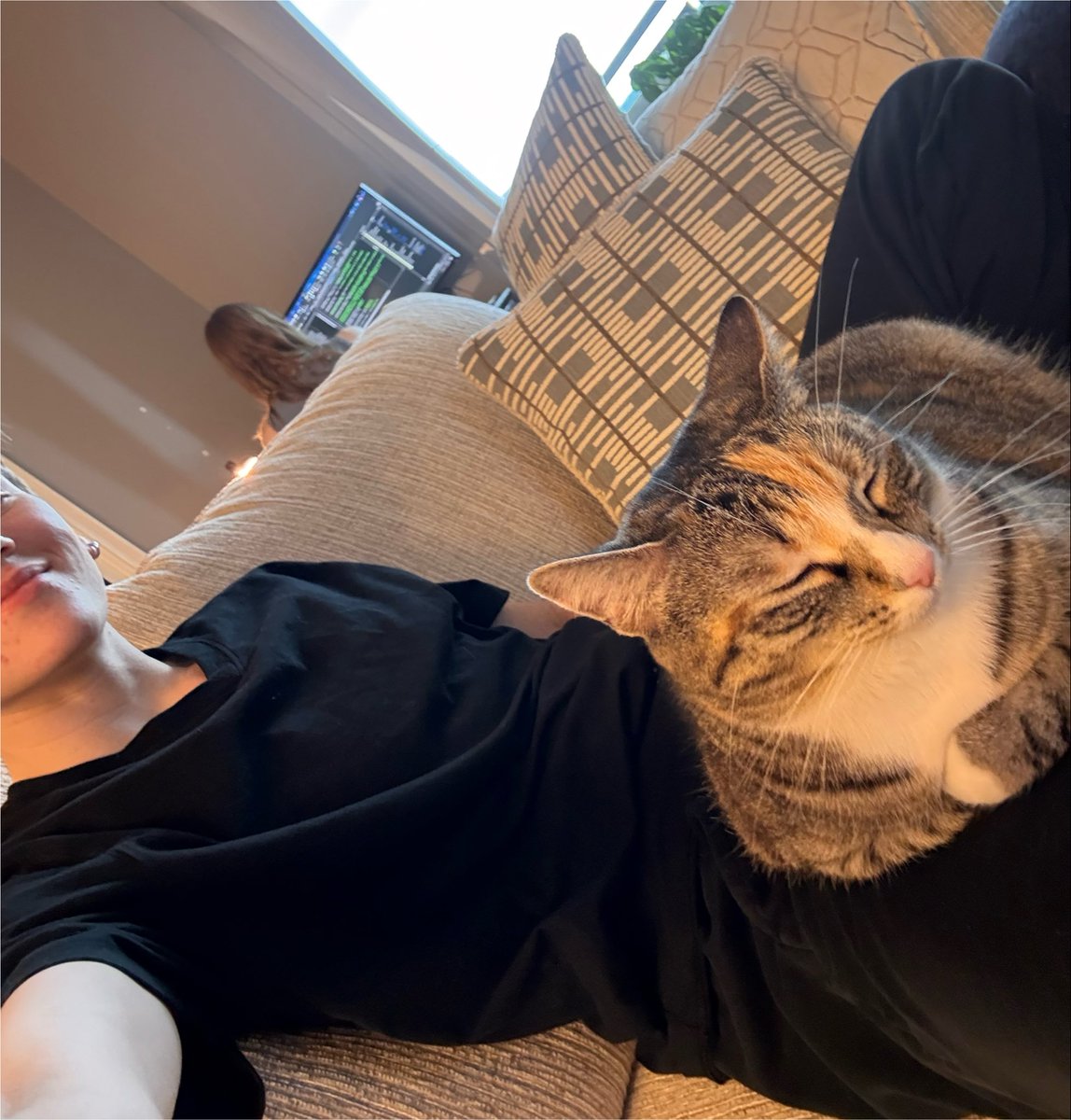 cartbog's tweet photo. as soon as she realizes i’m on the couch she rushes over to lay on me <333 https://t.co/ov4yLQaT2K