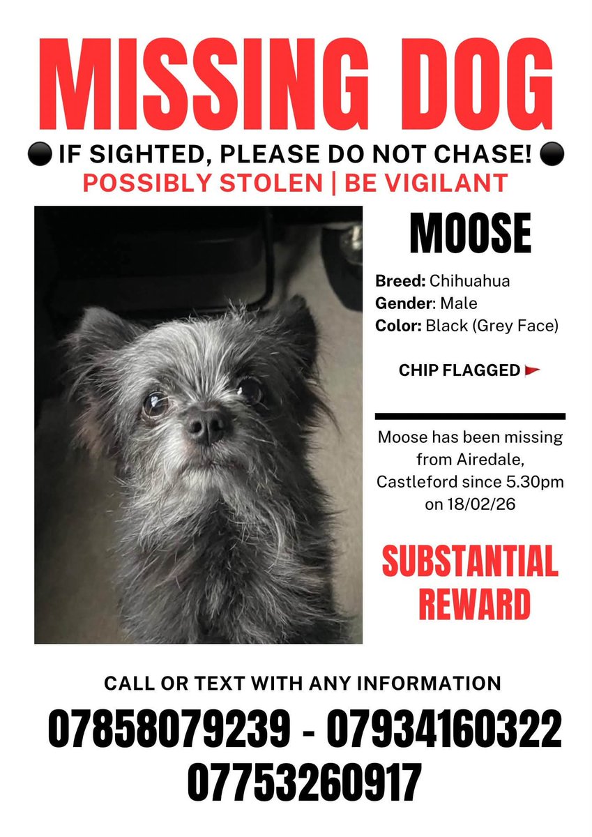 MissingPetsGB's tweet photo. Did you see Moose? #WestYorkshire #UK

Potential sighting Thurs 23 July at approx 1.15pm. The dog was seen close to the Tesco Express on Fryston Road, #Airedale 

If this was Moose, he is VERY close to home and where he went missing from. 

Please share 🙏 #stolendoghour https://t.co/CZBUmp2f6r