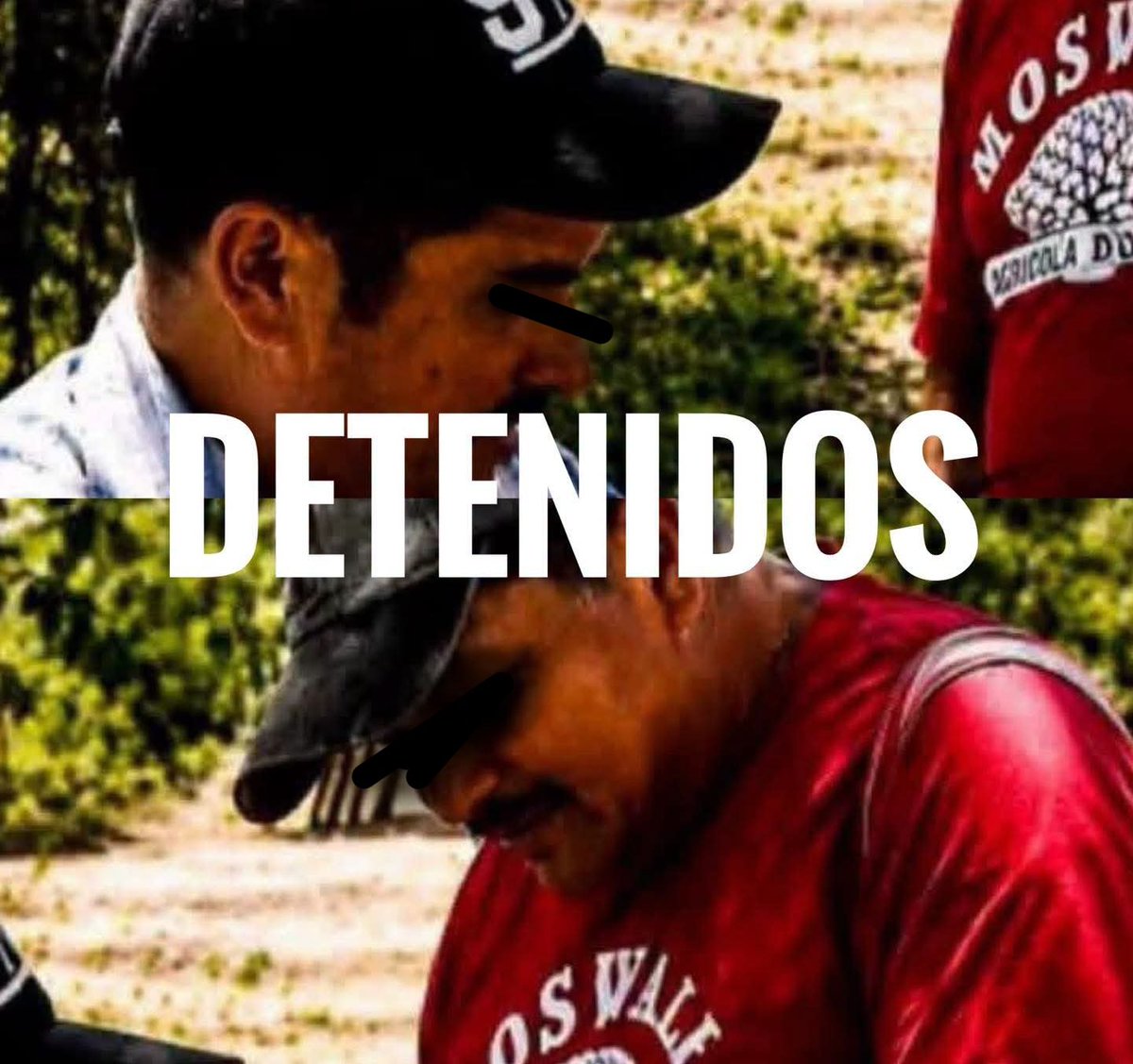 Elcentinelamx1's tweet photo. LA SABANILLA 

¡YA FUERON DETENIDOS!

Reportan la detención de los #campesinos que participaron en el video donde se aprecia una agr€sion a un m£nor en #Sabanilla, Chiapas.

La detención habría ocurrido hace unos minutos, aún faltaría por detener a la persona que graba el material audiovisual, pero se espera que en próximas horas caiga también.