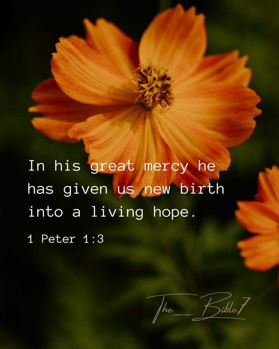 The__Bible7's tweet photo. 1 Peter 1:3 https://t.co/pFMwTLMWU0