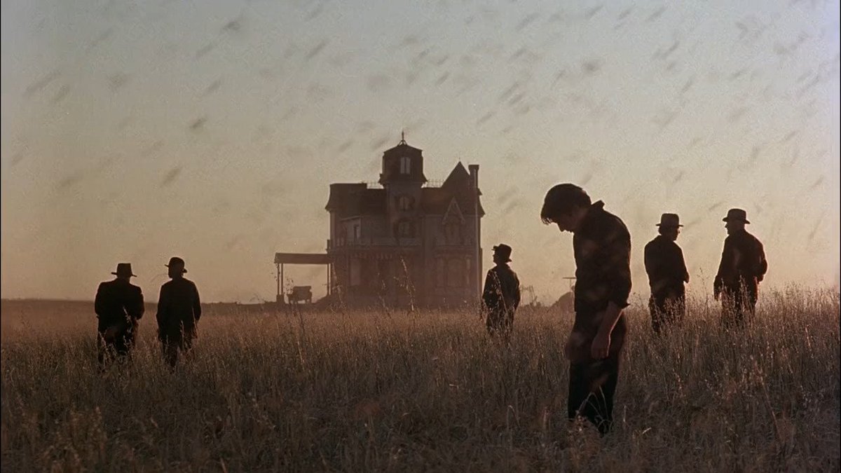 EvaArriagaD's tweet photo. 🎥 'Days of Heaven' (Terrence Malick, 1978). https://t.co/8LAXU6PpMp