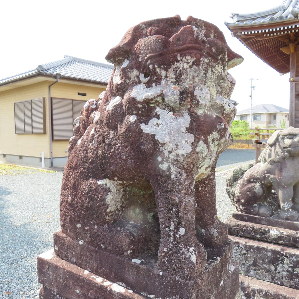 komainu1000's tweet photo. 夜明神社　久留米市大善寺町夜明の狛犬さん①

#狛犬 #狛犬さん #獅子 #石獅子 #参道狛犬 #神殿狛犬 #こまいぬ #阿吽
#神社 #神社巡り #神社参拝
#狛犬巡り #狛犬愛好家 #狛犬マニア #狛犬探訪 #狛犬ハンティング #狛犬巡り #狛犬さんぽ #狛犬サイクリング #狛犬バカ一代 https://t.co/gNKLgbgR4z