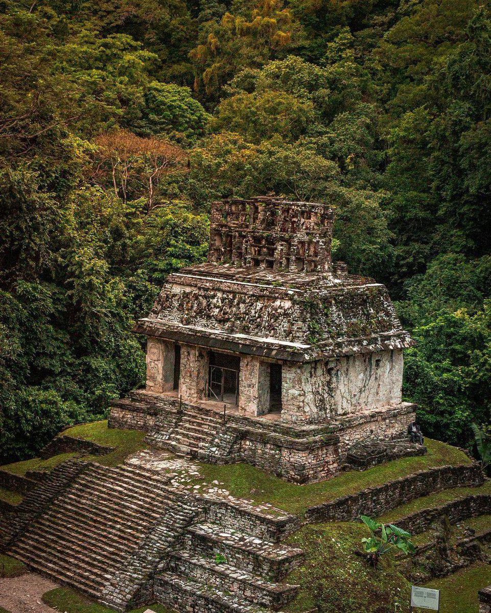 EspirituCurioso's tweet photo. ¿Sabías que la estructura que aparece en esta fotografía fue construida hace más de 1,300 años y todavía conserva parte de su decoración original en piedra? 

Se trata del Templo del Conde, uno de los edificios más reconocibles de la zona arqueológica de Palenque. Su nombre no es maya, sino que fue puesto en el siglo XIX porque un explorador europeo, el conde Jean-Frédéric Waldeck, vivió un tiempo dentro de este edificio mientras realizaba dibujos y estudios del sitio.

Pero este templo es solo una pequeña parte de lo que hace extraordinario a Palenque.

Aunque la ciudad fue más pequeña que otras grandes capitales mayas como Tikal o Calakmul, destacó por el nivel de sofisticación de su arquitectura, sus relieves y sus inscripciones. Aquí gobernó K’inich Janaab’ Pakal, mejor conocido como Pakal el Grande, uno de los personajes más importantes de la historia maya, cuya tumba fue descubierta en el Templo de las Inscripciones en 1952, uno de los hallazgos arqueológicos más importantes de América.

Otro detalle que sorprende es el entorno. Palenque no está rodeado de zonas áridas, sino de una exuberante selva tropical que forma parte de la Selva Lacandona. Entre el sonido constante de aves, monos aulladores, arroyos y cascadas, recorrer este lugar permite entender por qué los antiguos mayas eligieron este rincón de Chiapas para levantar una ciudad que llegó a ser un importante centro político y cultural.

Caminar por Palenque también significa descubrir que la naturaleza nunca dejó de estar presente. Durante siglos, la selva cubrió muchos de sus edificios, y todavía hoy árboles, lianas y vegetación conviven con templos, plazas y palacios, creando uno de los paisajes arqueológicos más impresionantes de México.

Espíritu Curioso, si pudieras recorrer Palenque por un día, ¿qué te emocionaría más: explorar sus antiguos templos o caminar entre la selva que los ha protegido durante siglos? 🙂

📸 IG: giiogarica