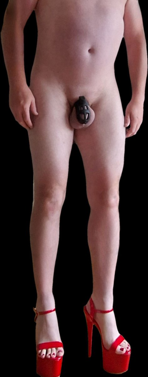 ExposeWhor's tweet photo. @Michael90012936 Oh no, did your worthless clitty just leak from being mocked? How adorable too small to fuck, too useless to stroke, perfect for permanent denial…🤣🤣🤣🤣 https://t.co/ziR3sHVCay