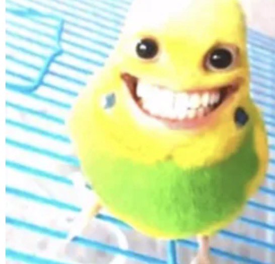 𝐚𝐢𝐥𝐞𝐬𝐬𝐞 tweet media