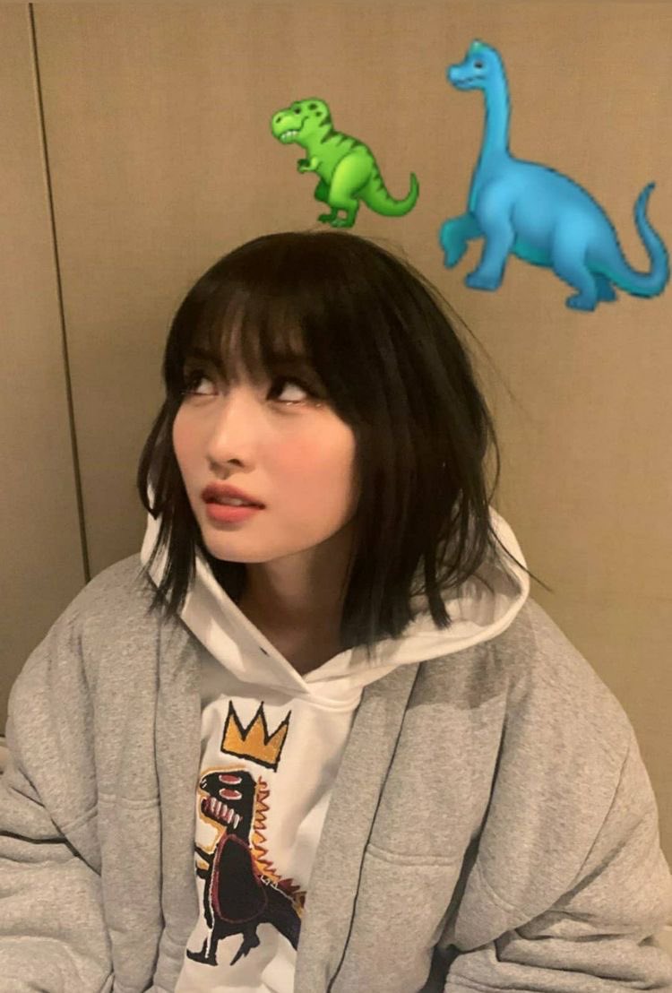 wishingsana's tweet photo. ofc she’d be excited about the dinosaur laburis https://t.co/KziMKzaq1Z