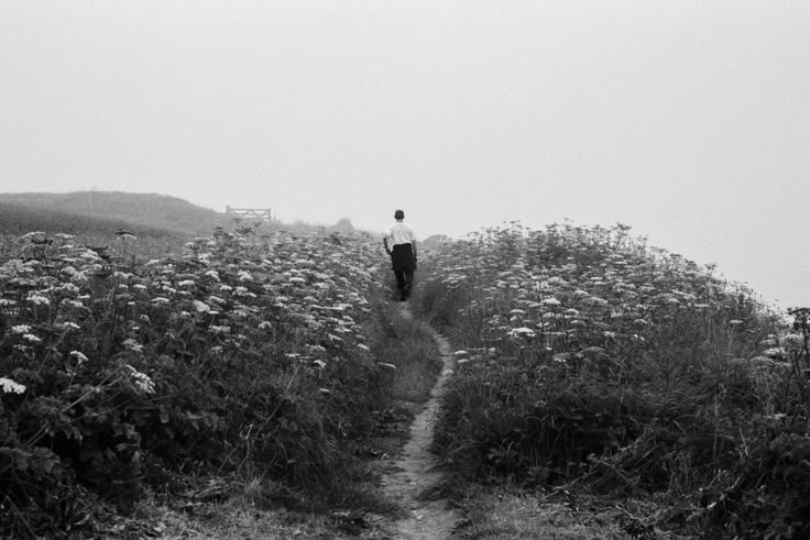 literlandweb1's tweet photo. "Todo pasa y todo queda, pero lo nuestro es pasar, pasar haciendo caminos".
Antonio Machado
📷Alex Webb https://t.co/tLvG6csby7