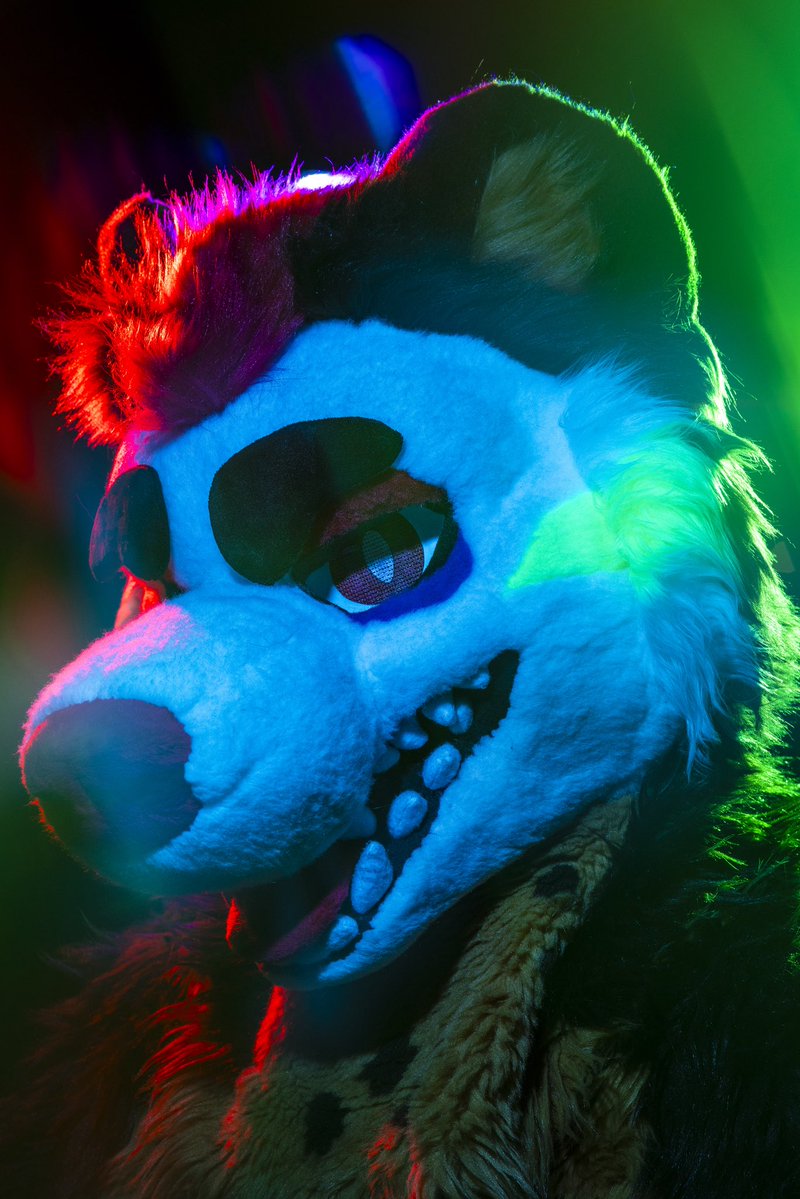 dire_walf's tweet photo. I only have 2 more Megaplex photoshoot slots left! Headshots will remain open. 

Solo headshot $200
5 photos $800
10 photos $1200
20 photos $2000

⚠️: includes flashing lights 

Same day delivery available for headshots and 5 photos sessions.

#megaplex #megaplex2026 https://t.co/g9SRMrVGxs