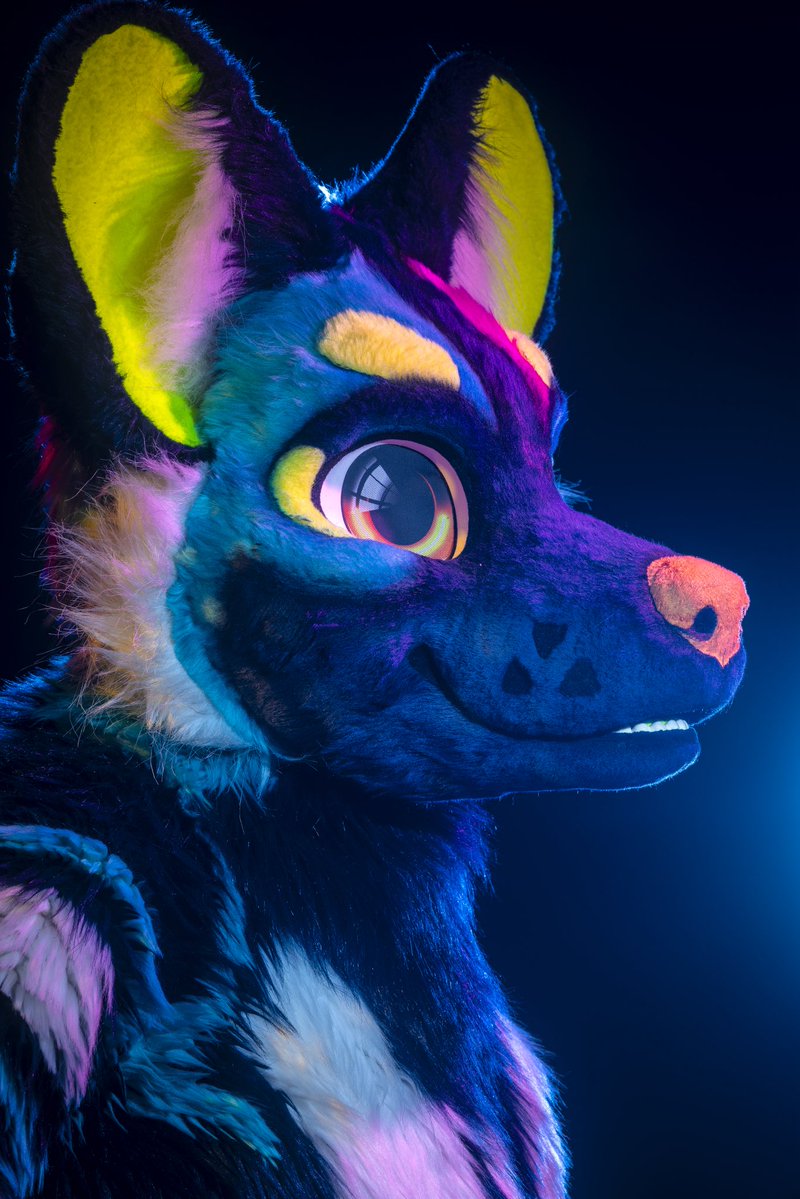 dire_walf's tweet photo. I only have 2 more Megaplex photoshoot slots left! Headshots will remain open. 

Solo headshot $200
5 photos $800
10 photos $1200
20 photos $2000

⚠️: includes flashing lights 

Same day delivery available for headshots and 5 photos sessions.

#megaplex #megaplex2026 https://t.co/g9SRMrVGxs