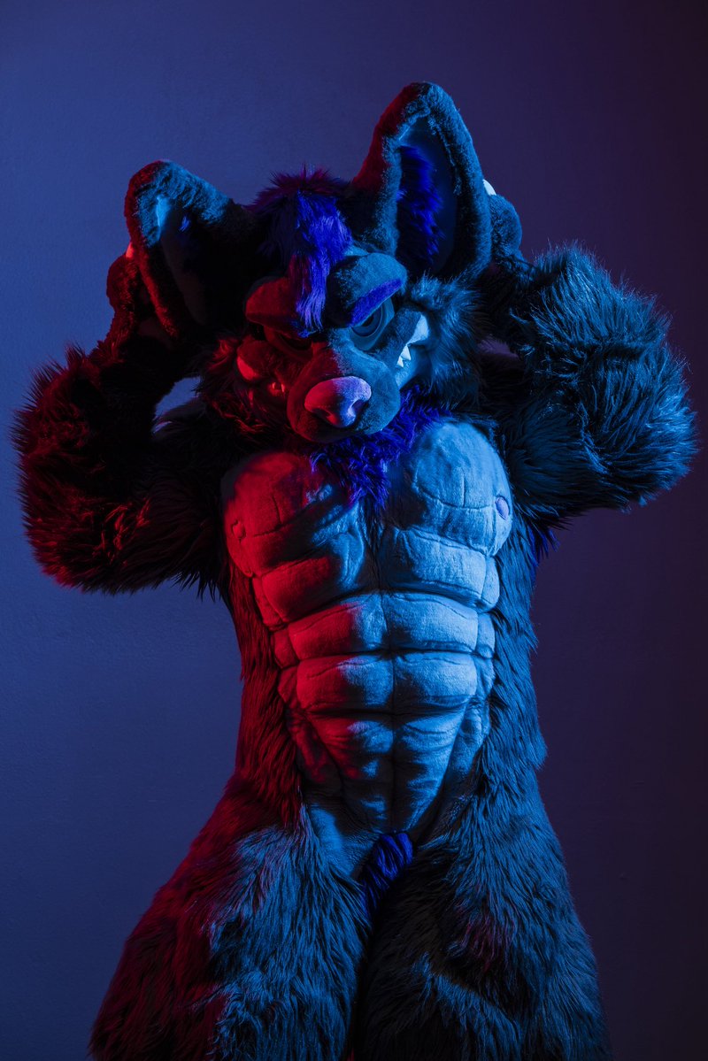 dire_walf's tweet photo. I only have 2 more Megaplex photoshoot slots left! Headshots will remain open. 

Solo headshot $200
5 photos $800
10 photos $1200
20 photos $2000

⚠️: includes flashing lights 

Same day delivery available for headshots and 5 photos sessions.

#megaplex #megaplex2026 https://t.co/g9SRMrVGxs