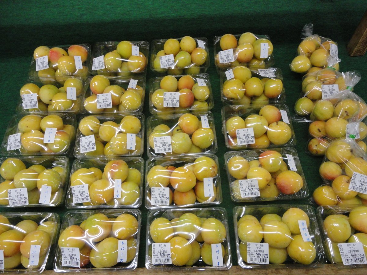 janan_gc's tweet photo. プラム【トパーズ】が出荷されました。果皮は黄色で、宝石のトパーズを思わせ完熟するとうすい紅色に着色し、果肉は緻密で多汁で、甘く、食味は良好である。
それと、梨の予約発送依頼をFAXで送られる方、お電話をお願いしております。真っ白や真っ黒の物が散見されます。 https://t.co/yb3DswKXPt