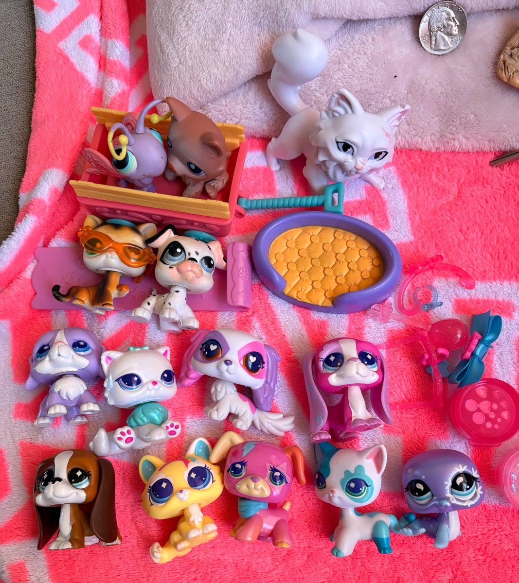 mippypod's tweet photo. incredible haul today
#lpstwt https://t.co/nh8mbHgW4I