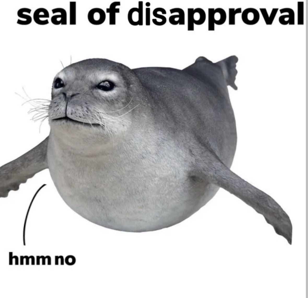 Respectful Memes tweet media