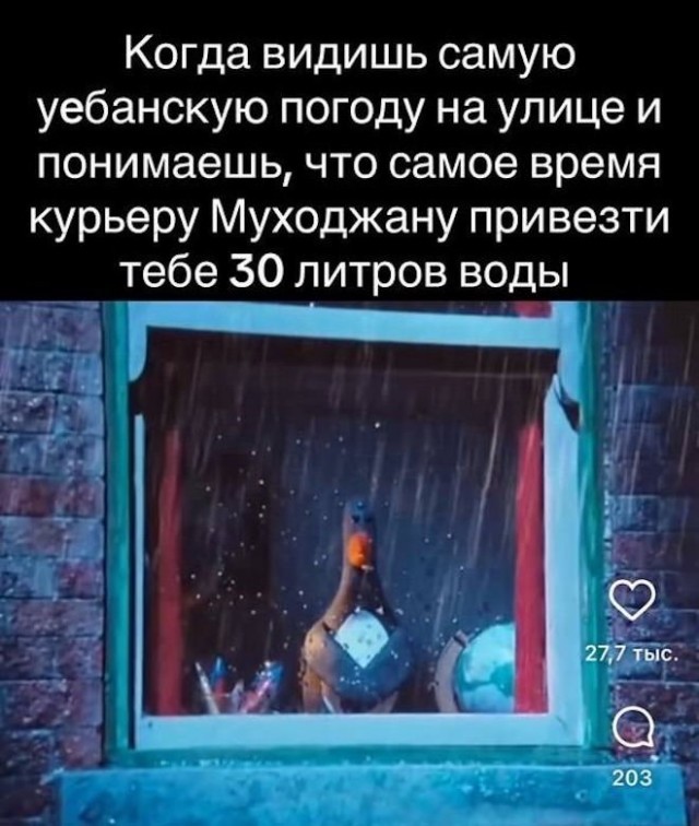 __Climber__'s tweet photo. А как иначе?) https://t.co/VRqLax1Uy6