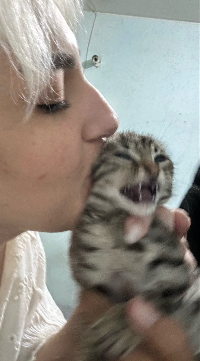 Mahsaathe's tweet photo. https://t.co/KBxshytQv7
