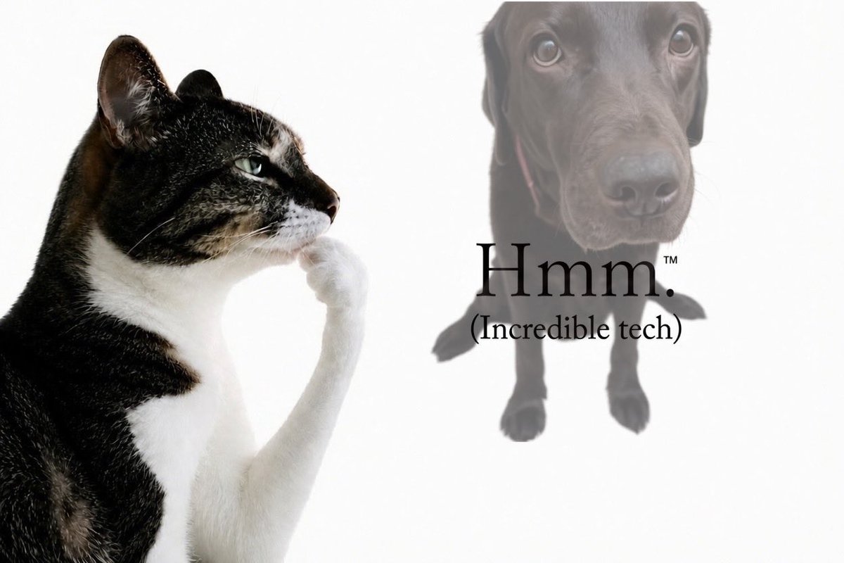 founderdev_'s tweet photo. Pons cat is the $hmm 🤔🐈

I'm in full hmm mode wondering who @ponsdotfamily dog is gonna be. 🤔🐕 https://t.co/N1JiiSEe80