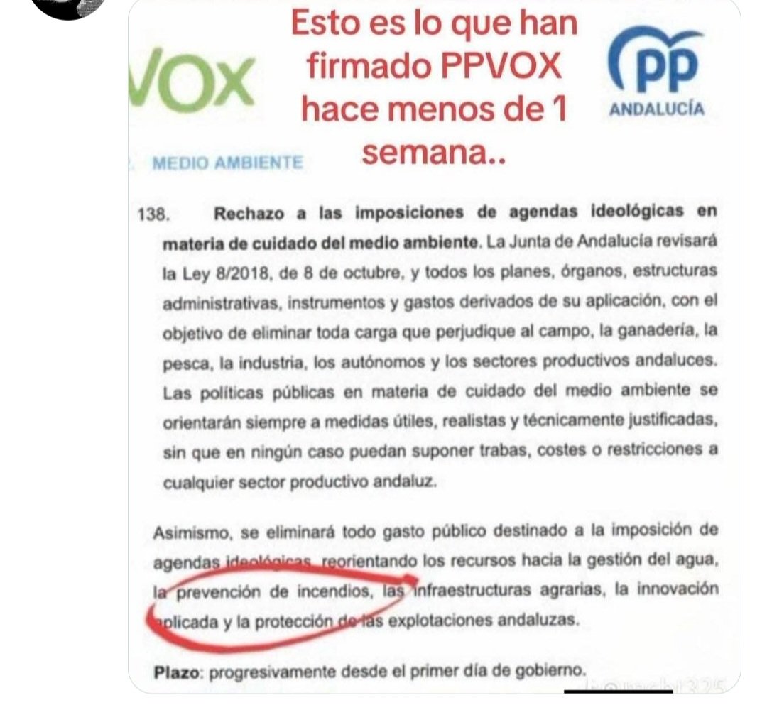 kirarosa's tweet photo. @johnsixx256 Y esto es lo que acaban de firmar las CCAA gobernadas por PP y VOX https://t.co/hXI3bGfPBa
