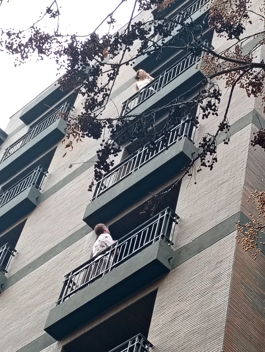 bebesitalo100to's tweet photo. ustedes pagando x ver a rosalia y ella se asoma de su habitacion d hotel a saludarme mientras conpro una simcar prepago en santiago https://t.co/3Aorsz4que
