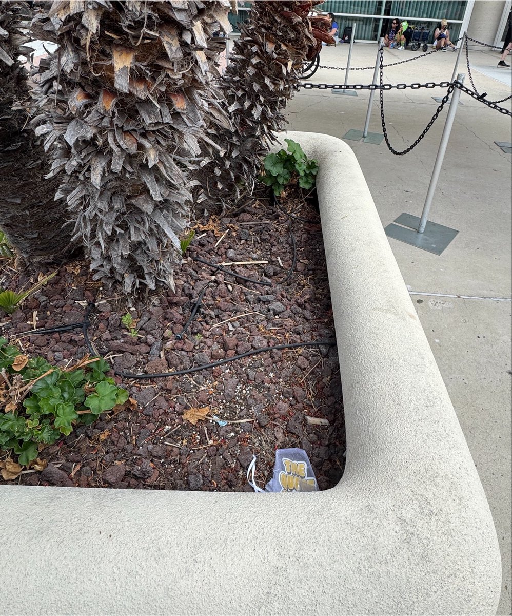 SDCCLineUpdates's tweet photo. βοΈ QUEUE CREW DROP βοΈ
Time for a sticker and a little something extra on the terrace (behind the legion booths) π
Tag us if you snag it! π
#SDCCLineUpdates #SDCC #WhosYourCrew https://t.co/xvrXznkkEd