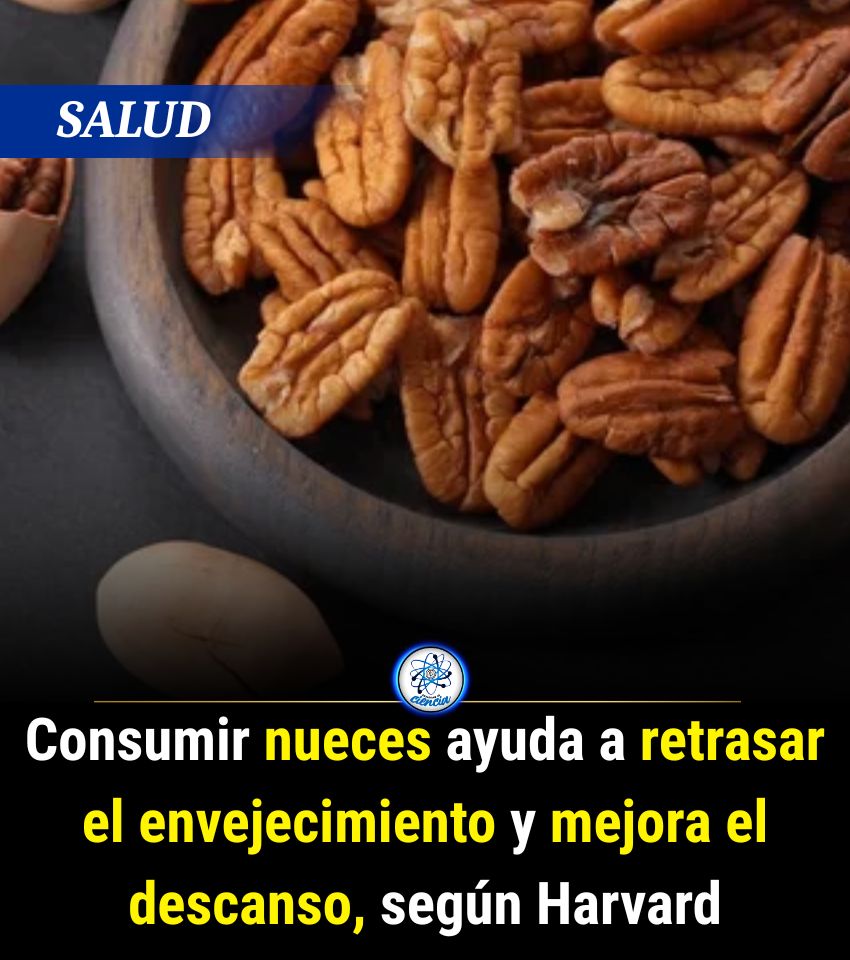 EnsedeCiencia's tweet photo. https://t.co/ZQfSI3zXRe
