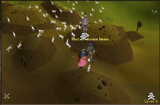 RsHistoryJuly's tweet photo. A long time ago, there was an insain kitten plague in RuneScape. It's not clear if they're still alive today.

On a serious note: It's not clear what happened here, but this is an authentic screenshot from early 2004, when a single player somehow managed to own a herd of kittens. https://t.co/NN6TbFXsi2