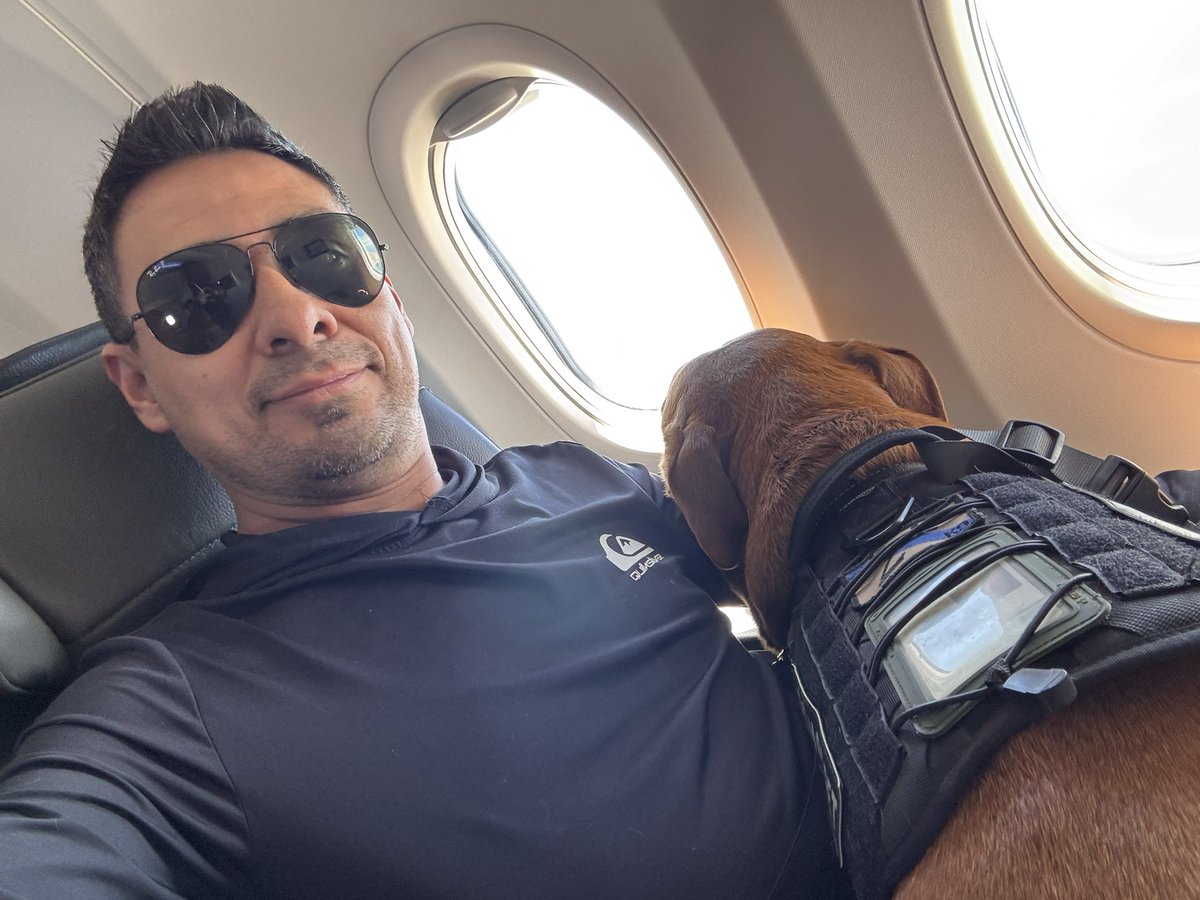 roblesd84's tweet photo. @ApartadoMex @LlanoEly Aquí con mi perro en un avión y salón premier de @aeromexico en un vuelo internacional y que no pueda viajar en un autobús es una pendejada que se joda grupo estrella blanca son una mierda los animales se portan mejor que muchos animales que leo por aquí https://t.co/EGm0t5GZ0b