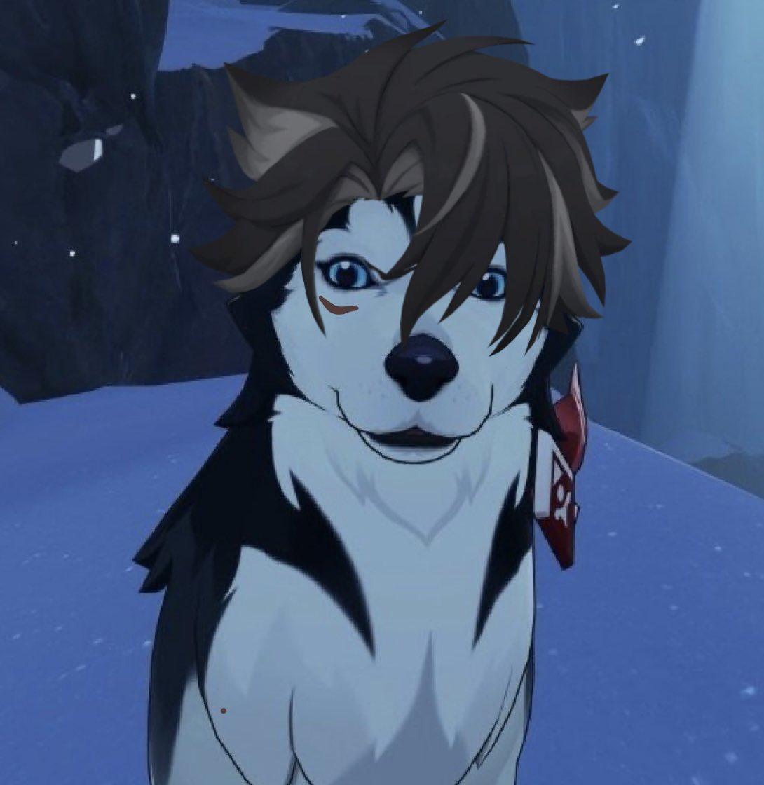 Keciea_'s tweet photo. This husky looks familiar https://t.co/UOfZFNhicz