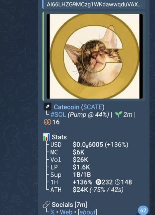 hailey_cryptoo tweet picture