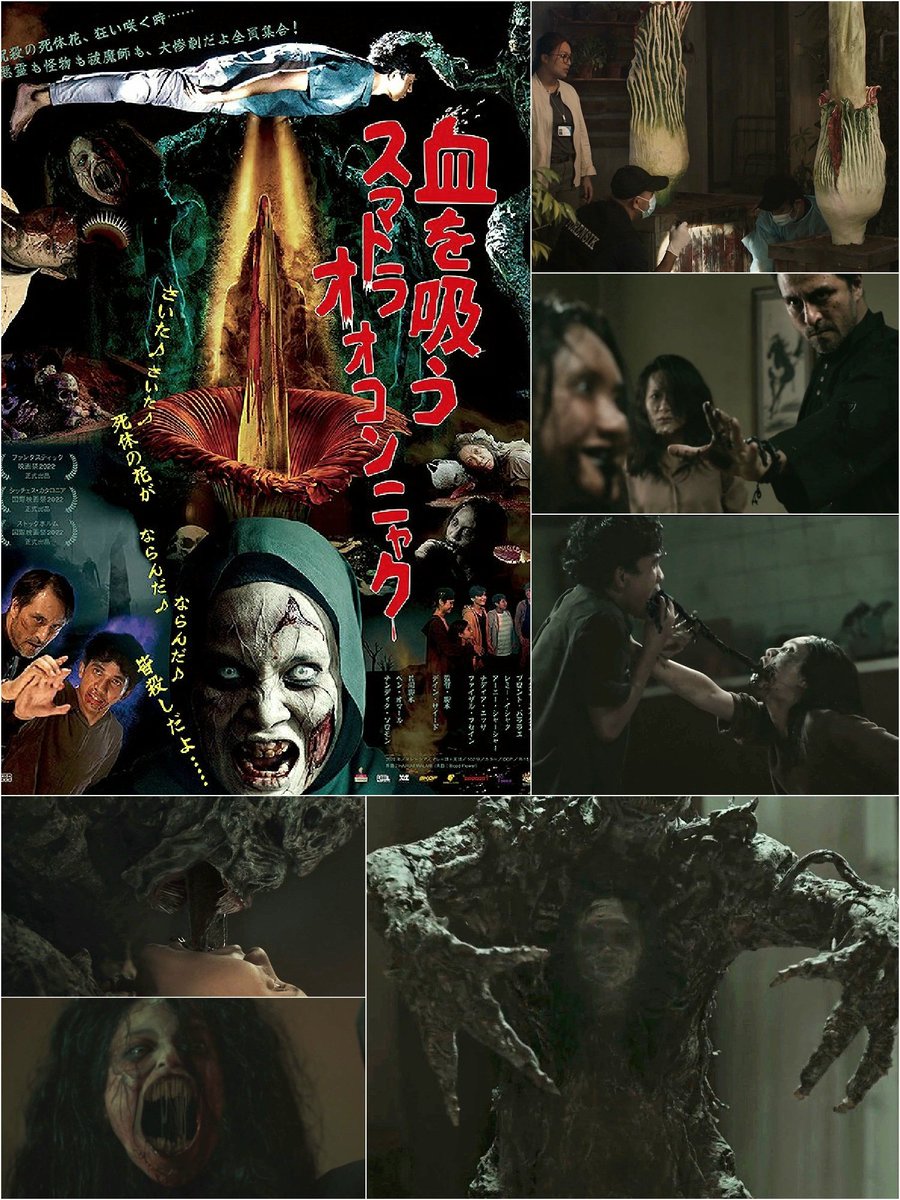 take_shit_death's tweet photo. 血を吸うスマトラオオコンニャク
(BLOOD FLOWER)

マレーシア産植物性悪魔憑きホラー
8月7日～日本公開決定！㊗️✨🥀🇲🇾

アジアンホラーの良いところ詰め合わせ＋クリーチャーも出てきて楽しいよ！おすすめ♡

(↓たぶん日本で最初のレビュー🤭) https://t.co/5trr06Uqyb
