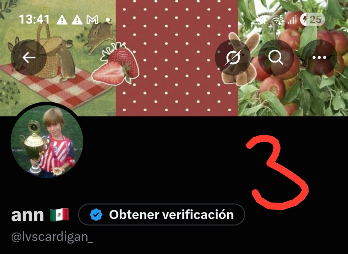 ann 🇲🇽 tweet media