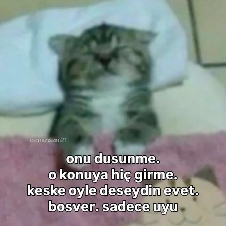 alaylar_'s tweet photo. https://t.co/ehit0XGqQV