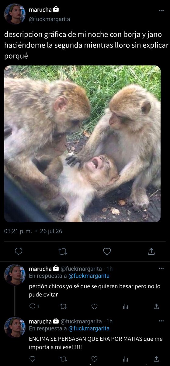 pipeisy's tweet photo. — 234. "genia de mierda" https://t.co/PDo6RWF1TJ