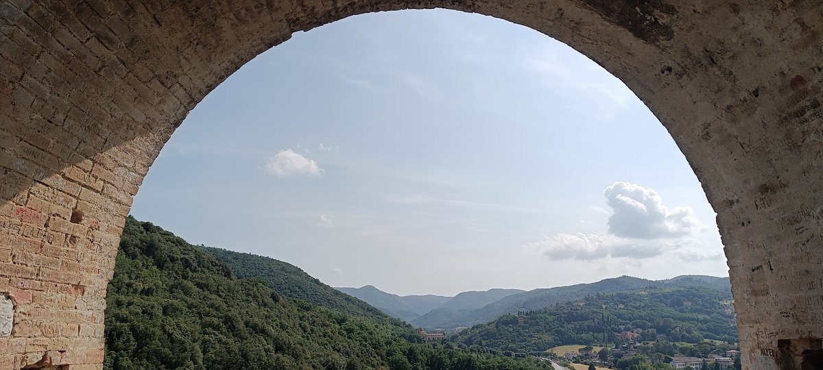 StefaniaNonno's tweet photo. Mezza natura.
#mypersonal https://t.co/VKcFfdHdrG