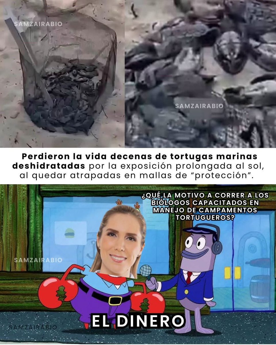 agus_hm2604's tweet photo. @soyateneadeisla https://t.co/BgsRoAkdQg