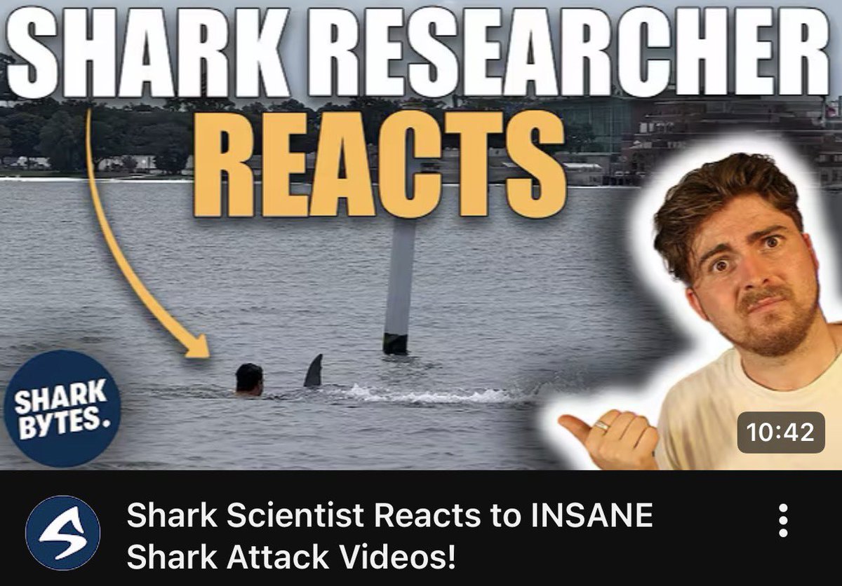 SharkBytes1994's tweet photo. BRAND NEW #SHARKBYTES! We’ve had a few crazy shark attacks caught on camera recently, so come and watch me react to them and importantly find out why they happened… Watch via the Shark Bytes homepage here: https://t.co/yJaq1UANzi https://t.co/vckuhqSTM5