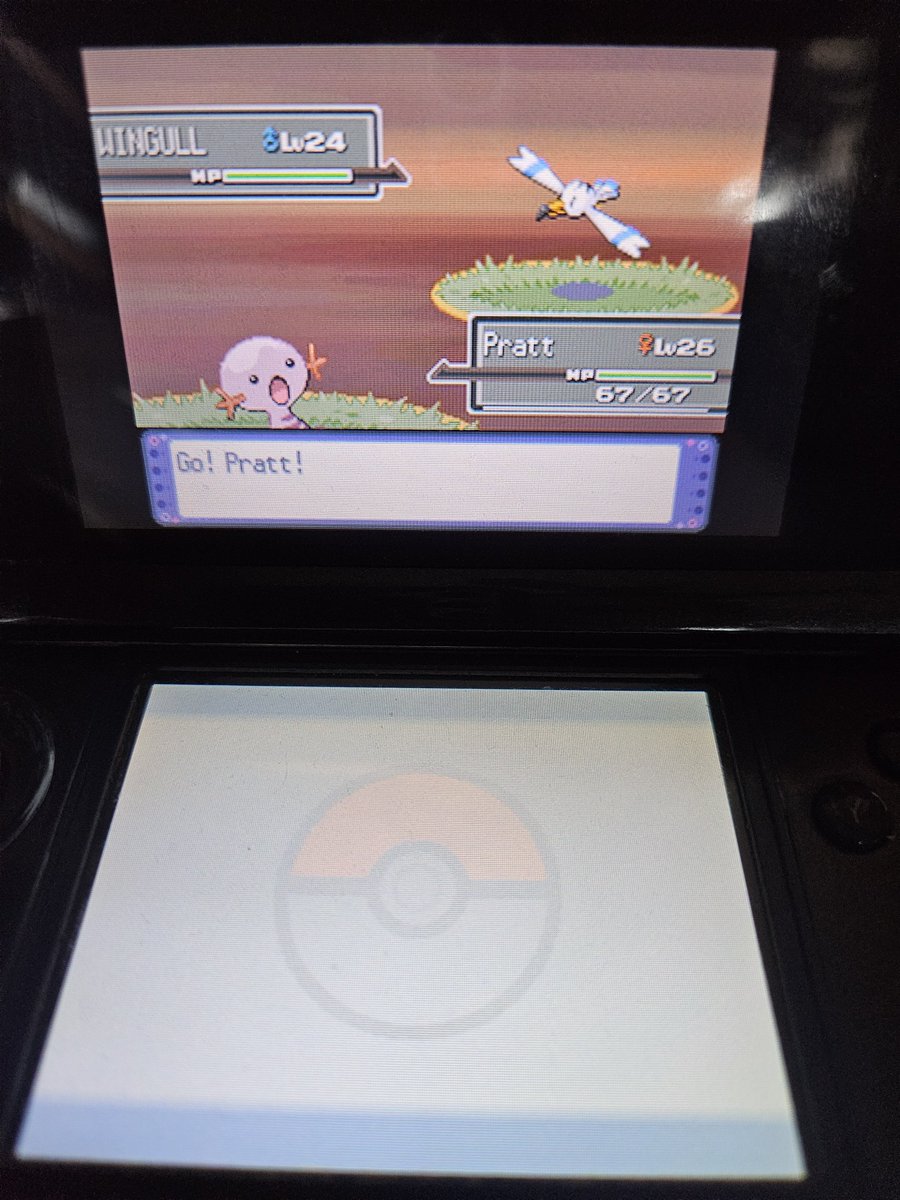 SilverMeanRillo's tweet photo. Shiny Wooper 💖 after 7,524 RE!!
I freaking love the "looking back" animation, never gets old

I think that's a wrap for me in #safariweek2026 at least on the DS games. I'll maybe do overtime in Shining Pearl a little
I went 4/4 and ALL of them were under odds (4,113 on average) https://t.co/0St0CqJIek