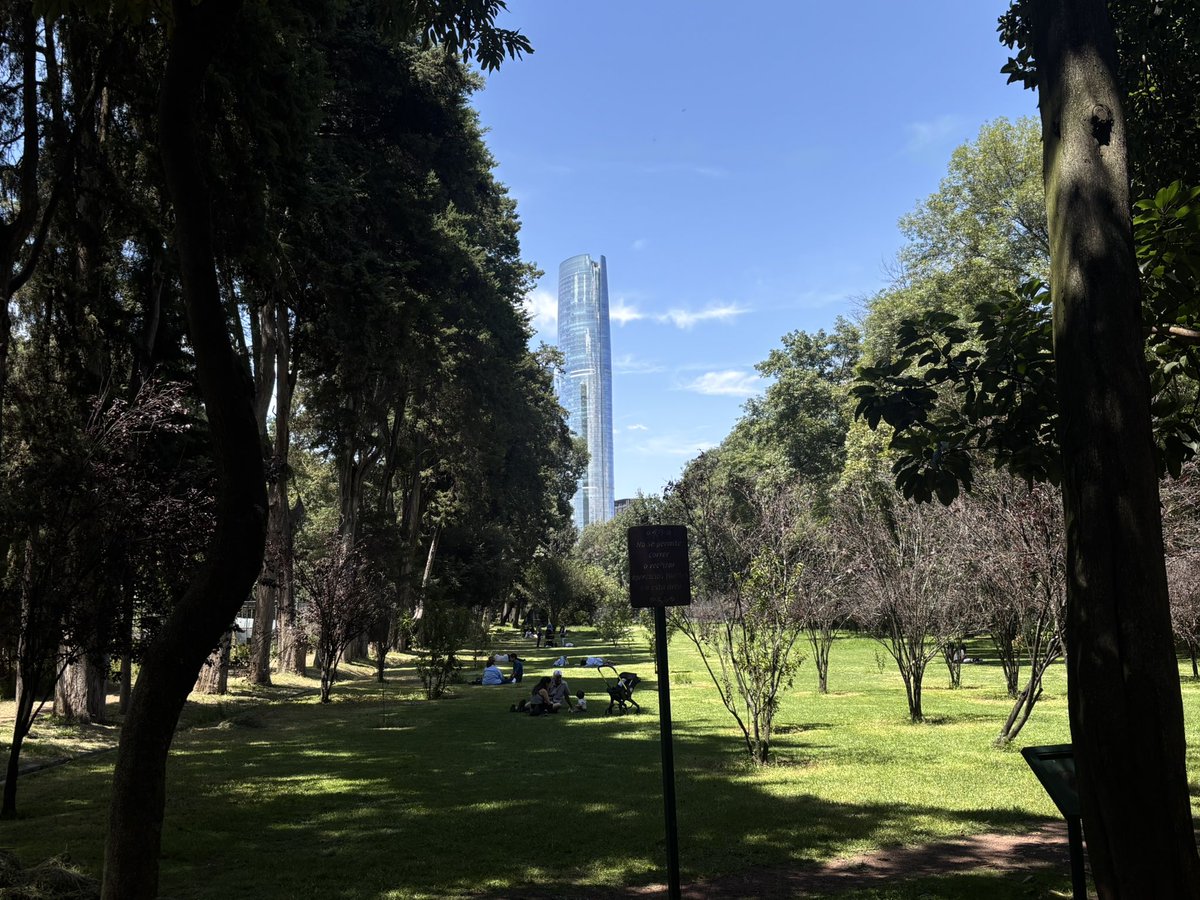 azulgrisaceo0o's tweet photo. paseando x los viveros de coyoacan en plan central park typeshi pero solo hay un edificio al rededor y huele a panteón https://t.co/6lDacMIpDq