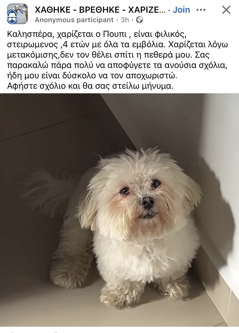 epigeiathea's tweet photo. εγώ θα έδιωχνα την πεθερά και θα κρατούσα τον Πούπι πάντως. https://t.co/RRbm0FSnnQ