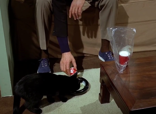 RodneyMarshall1's tweet photo. Number Six befriends a cat, even feeds it and lets it have his bed...but, sadly, in the Village P finds that no one can be trusted.
(A local cat, Tammy, played the role - uncredited - after the 'professional' feline brought all the way from MGM failed to act on cue.) 🐈‍⬛ https://t.co/Z6GGn0IBRa