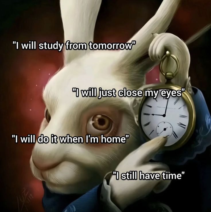 ADHD Memes tweet media