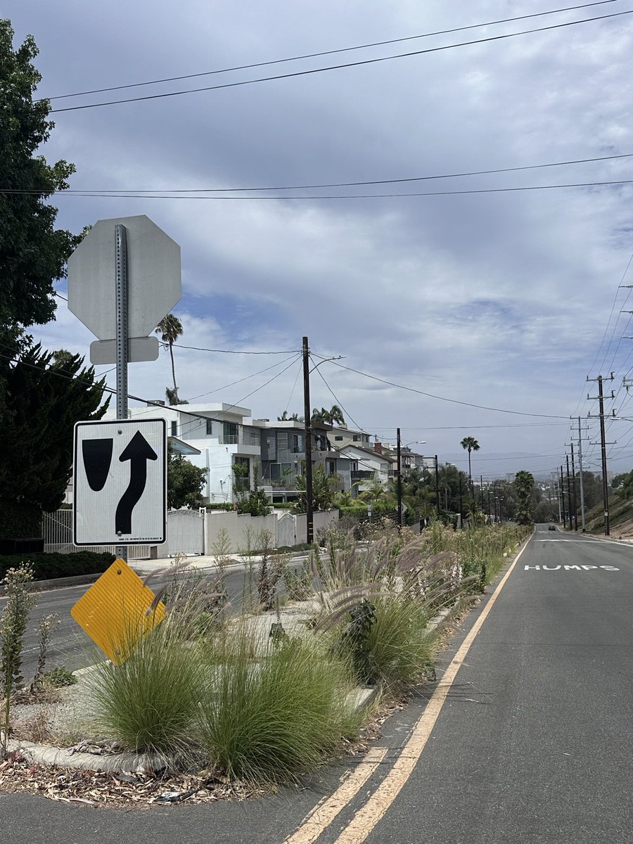 EricKredatus's tweet photo. Hey @KarenBassLA  why do public streets in Playa Del Rey look like this in 2026? Looks like a fire hazard to me. Please advise. https://t.co/PwVAfC9nBU