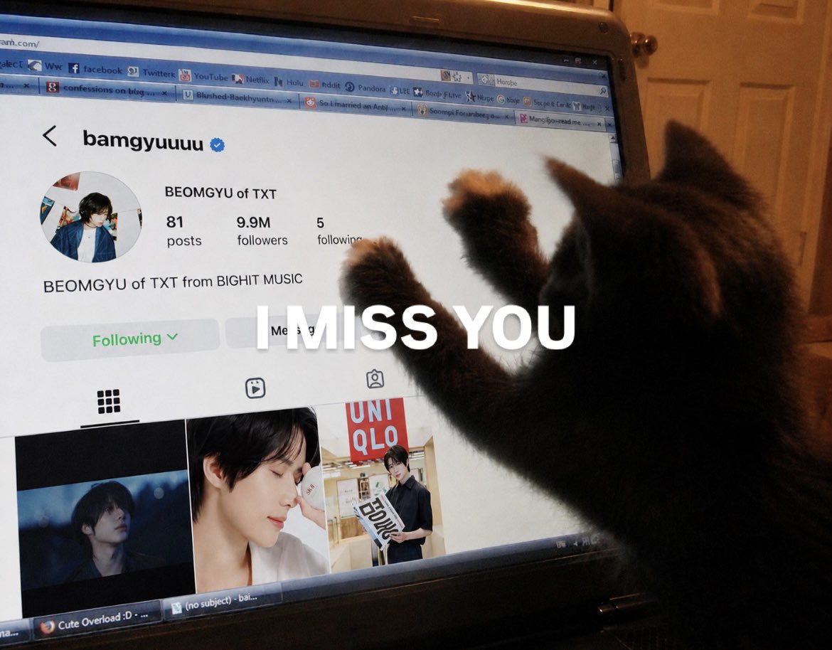 gyuarea_'s tweet photo. https://t.co/lvpqNl4DaX